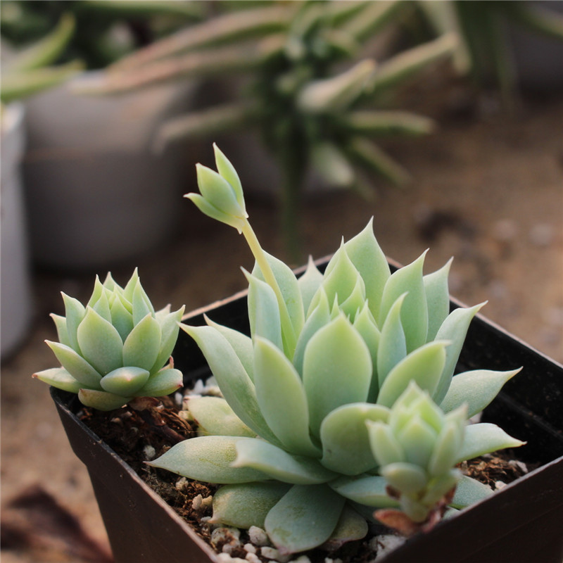 KY开元集团官网