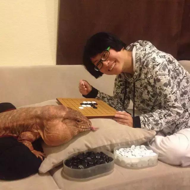 ky开元集团
