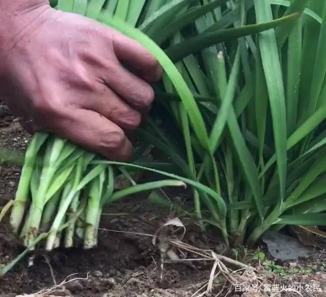 KY开元集团官网