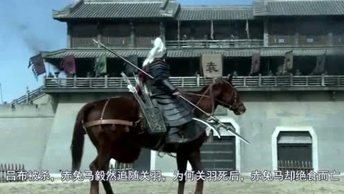 【ky开元集团】严陵社区:纪念中国共产党成立93周年“七一”党课活动(图4) ky开元集团